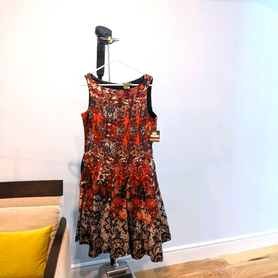 Dress A-Line Sleeveless By Taylor